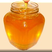 Закупаем мед натуральный фотография