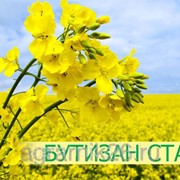 Гербицид БУТИЗАН СТАР, КС (330+83 г/л)