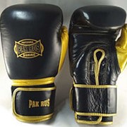 Перчатки боксерские Pak Rus Profi 14 oz (пара) фото