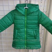 Детские куртки для девочек 92-116, код товара 123918361