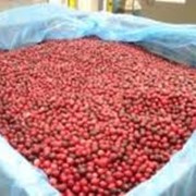 Клюква свежемороженная фото