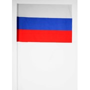 ​ Флажок России на палочке фотография