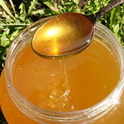 Мед алтайский, 1 кг. фото