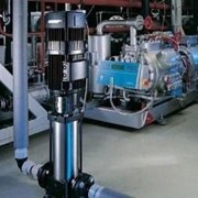 Насос вертикальный Ebara EVMSG 5-9 фото