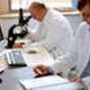 Услуги санитарно-эпидемиологической службы фото