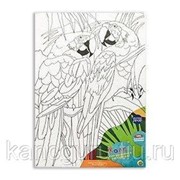 Наборы для рисования Рыжий кот Набор для рисования “Два попугая“ 20*30см холст, картон фото