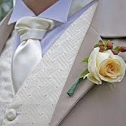 Свадебные галстуки фото