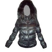 Куртки пуховики фото