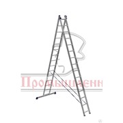 Лестница двухсекционная Ал 6215 фото