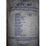 Сырьевой (промышленный) протеин «Ostrowia WPC 80»