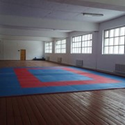 Учебно-тренировачные занятия для детей по боксу, дзюдо и таэквондо фото