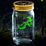 Светлячок в банке электронный зеленый фото