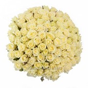 Букет из 101 белых роз(стебель 90 см)