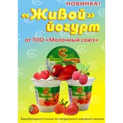 Йогурты молочные, молочная продукция фотография