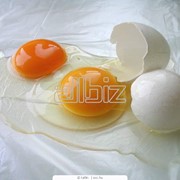Белок яичный жидкий пастеризованный фото