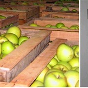 Проектирование холодильных складов овоще и фрукто хранилищ