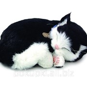 Дышащая игрушка Черно - белый котенок Perfect Petzzz
