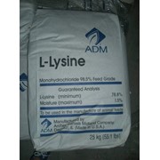 L-Лизин моно гидрохлорид фото