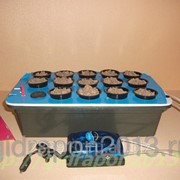 Гидропонная установка КЛОН DWC 14м фото