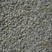 Семена люцерны ГОСТ, через магнит фото