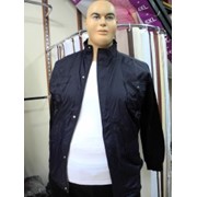 Куртка - ветровка Артикул: 1011, больших размеров оптом и в розницу