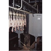 Оборудование мясоперерабатывающее фото