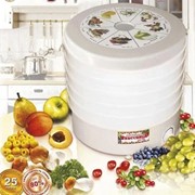 Сушилка для фруктов и овощей Чудесница, Дачница СШ-008 (Пенза) 20 литров фото