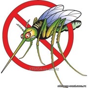 Уничтожение комаров