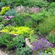 Дизайн ландшафтный фото