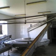 Линия по производству натуральных рыбных консервов, технологическое оборудование для производства рыбных консервов и шпрот фото