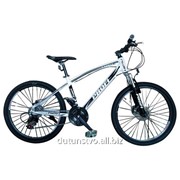 Велосипед 24 Battery Expert 24.3 черно-белый фото