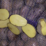 Картофель оптом 5+ сорт Бриз 8.50 фото
