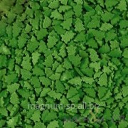 Посыпки “Елки зеленые“, Любисток фотография