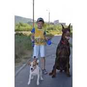 Воспитание и дрессировка собак в Минске фото