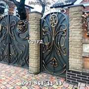 Кованые декорированные ворота. фотография