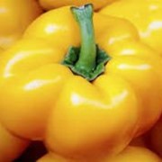 Семена перца Тореадор Еллоу желтый 0,2 г фото