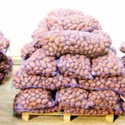 Картошка, лук, со склада в Самаре от производителя фото