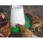 Бункерная кормушка для кур, уток, индюков, гусей и др. домашней птицы фотография