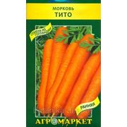 Семена морковь Тито