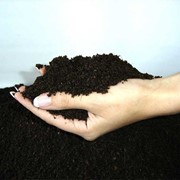 Продукт Компании «Биотерра» (гумифицированный компост) - это высококачественное органическое удобрение