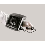 УЗИ ультразвуковой диагностический аппарат с механическим секторным датчиком(для свиноводства) фото