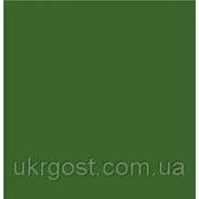 Универсальный краситель ХТС-54 Зеленый хромовый 25 кг Железно окисный фото