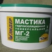 Мастика гидроизоляционная быстросохнущая МГ-2 фото