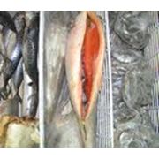 Предприятия рыбоперерабатывающие аренда рыбных цехов фото