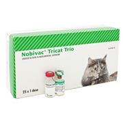 Вакцины для профилактики болезней кошек