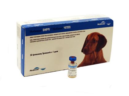Чешская вакцина отзывы. Растворитель для Нобивак DHPPI. Нобивак DHPPI для собак. Вакцина Нобивак DHPPI для собак разбавитель. Вакцина для собак Каниген.