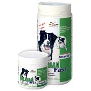 Гелакан Фаст - витамины для собак фото