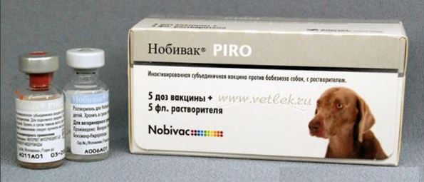 Nobivac Piro ( Нобивак Пиро) с растворителем (упаковка - 5 доз) в Киеве ...