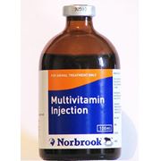 Мультивитамин 100 Multivitamin 100 100 ml фото