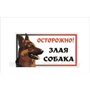 Табличка “Осторожно ЗЛАЯ СОБАКА “ р-р 25*15 см фото